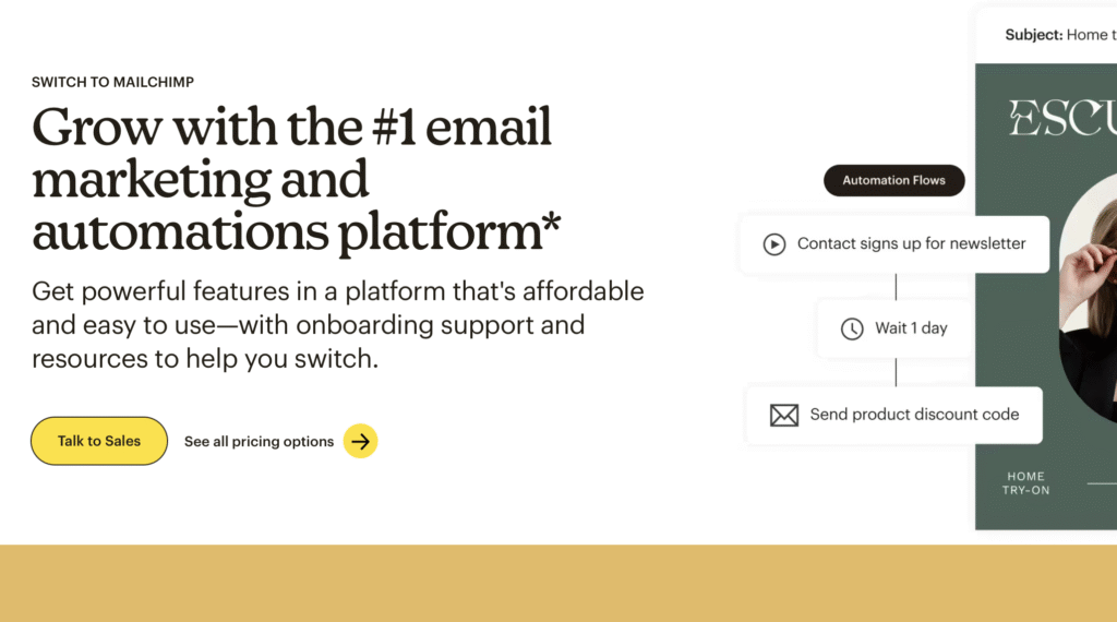 mailchimp website screenshot